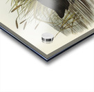 Australian Coot Fulica Australis illustrated by Elizabeth Gould 1804–1841 for John Gould’s 1804-1881 Birds of Australia  Acrylic print