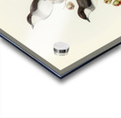 Rawnsleys Bower-bird Ptilonorhynchus Rawnsleyi illustrated by Elizabeth Gould 1804–1841 for John Gould’s 1804-1881 Birds of Australia  Acrylic print