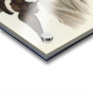 Black-bellied Storm Petrel Thalassidroma melanogaster illustrated by Elizabeth Gould 1804–1841 for John Gould’s 1804-1881 Birds of Australia  Acrylic print