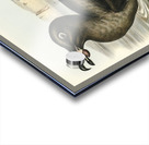 Sooty Albatros Diomedea fuliginosa illustrated by Elizabeth Gould 1804–1841 for John Gould’s 1804-1881 Birds of Australia  Acrylic print