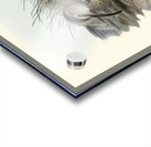 Australian Whimbrel Numenius uropygialis illustrated by Elizabeth Gould 1804–1841 for John Gould’s 1804-1881 Birds of Australia  Acrylic print