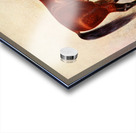 Cleveland Bay Stallion Sultan Frank Babbage English 1858–1916 Acrylic print