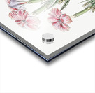 Prince Bisignanos tree pink from Edwards Botanical Register 1829-1847  by Sydenham Edwards John Lindley and James Ridgway. Acrylic print