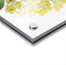 Dense flowered dendrobiumfrom Edwards Botanical Register 1829-1847  by Sydenham Edwards John Lindley and James Ridgway. Acrylic print