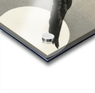 White-fronted goose at full moon 1900 - 1930 by Ohara Koson 1877-1945. Acrylic print