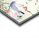 Flycatchers on a nandina bush 1925 - 1936 by Ohara Koson 1877-1945. Acrylic print