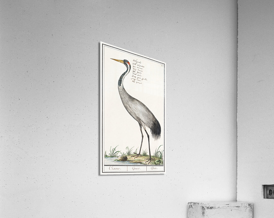 Crane in vintage style Acrylic Print