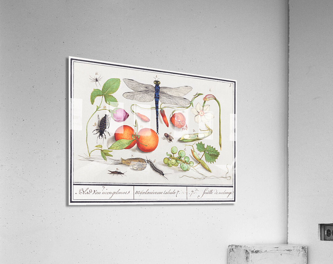 Nature ensemble in vintage style Acrylic Print