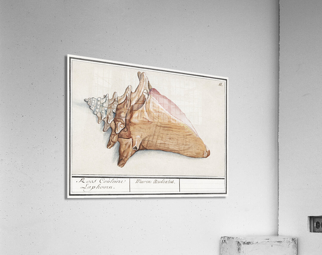 Swan in vintage style Acrylic Print