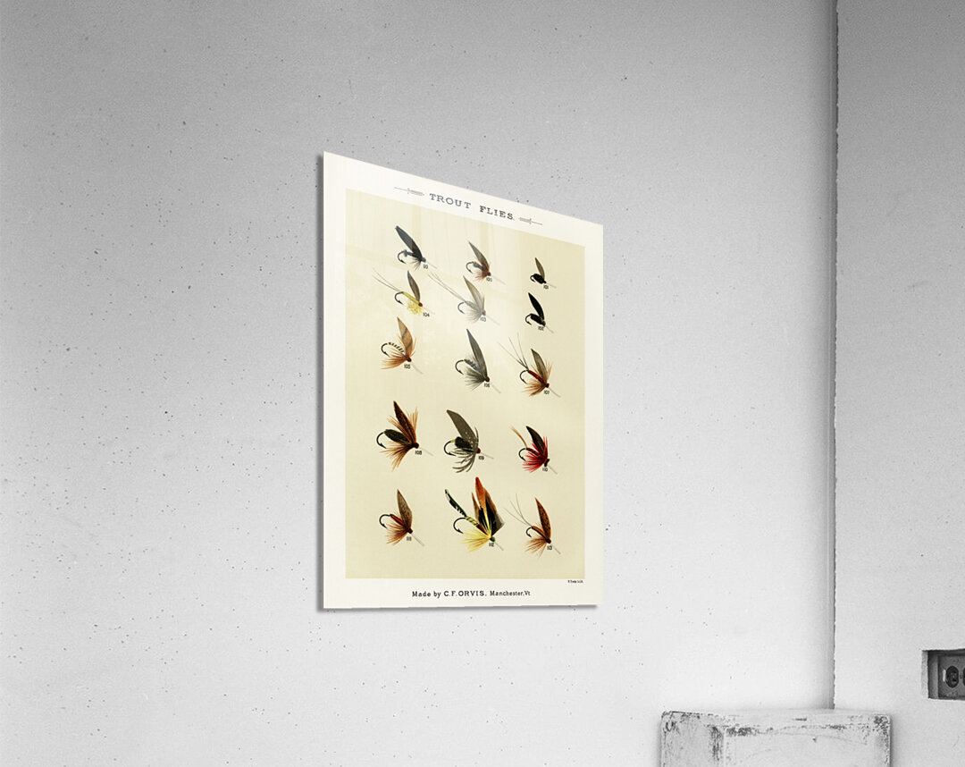 Trout Flies  Acrylic Print