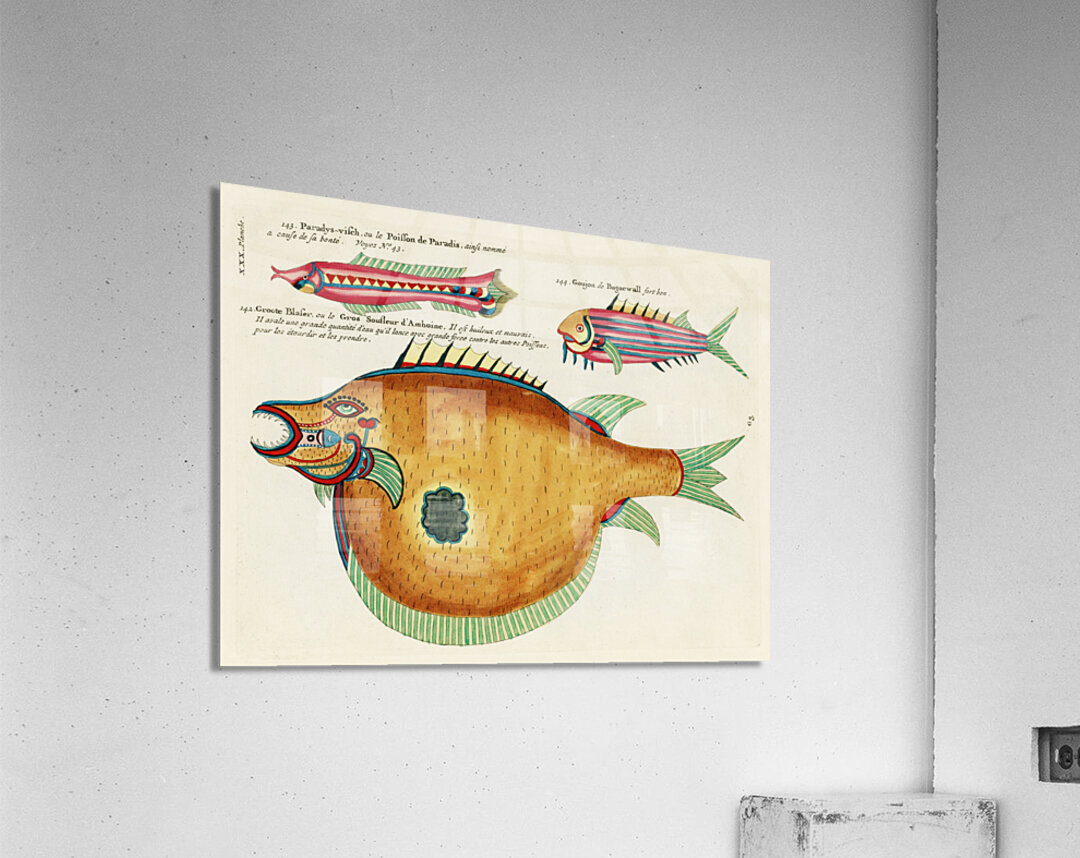 Colourful and surreal illustrations of fishes found in Moluccas Indonesia and the East Indies by Louis Renard 1678 -1746 from Histoire naturelle des plus rares curiositez de la mer des Indes 1754. Acrylic Print