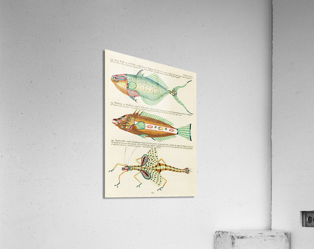 Colourful and surreal illustrations of fishes found in Moluccas Indonesia and the East Indies by Louis Renard 1678 -1746 from Histoire naturelle des plus rares curiositez de la mer des Indes 1754. Acrylic Print