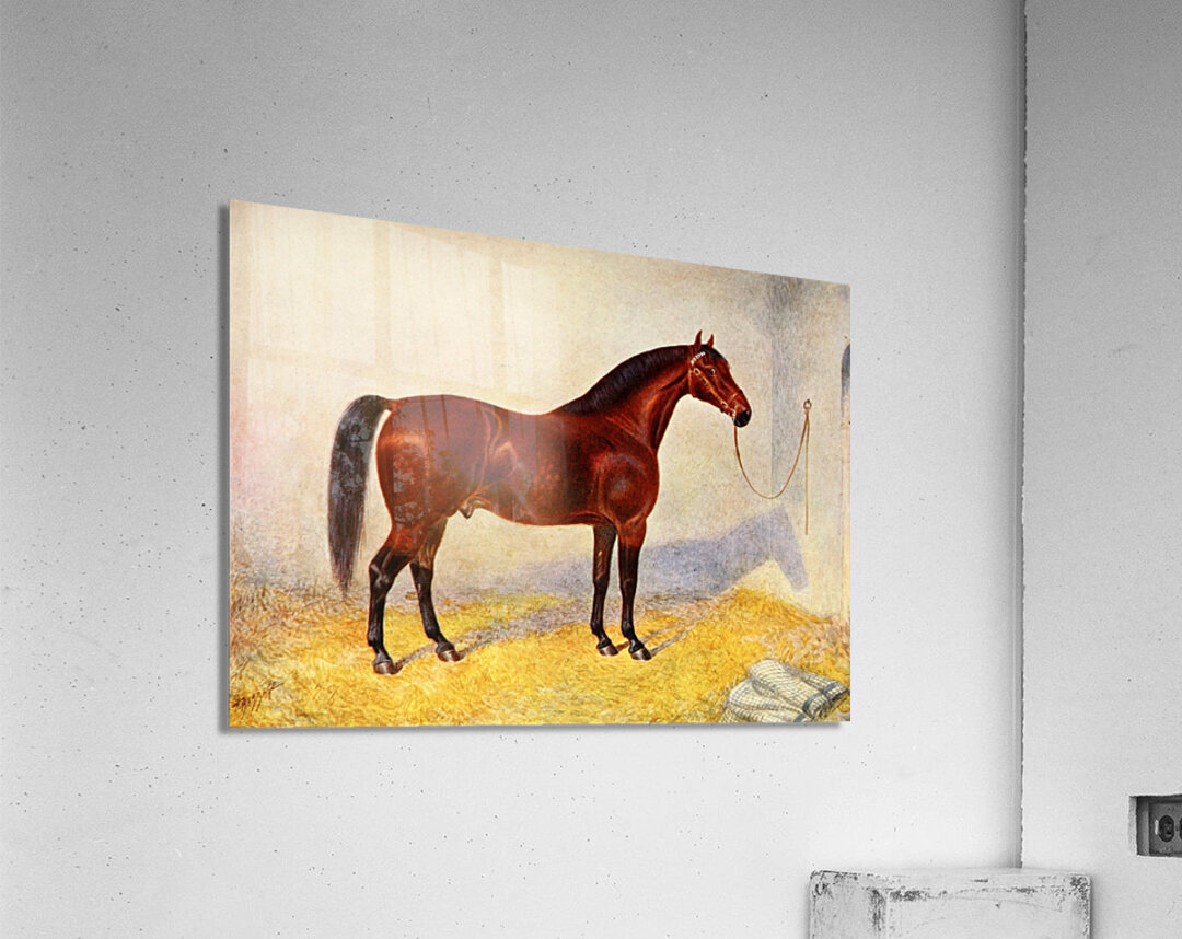 Cleveland Bay Stallion Sultan Frank Babbage English 1858–1916 Acrylic Print