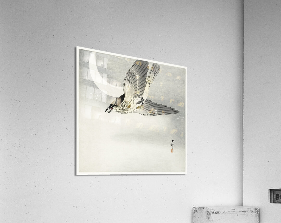 Cuckoo at crescent moon 1900 - 1930 by Ohara Koson 1877-1945. Acrylic Print