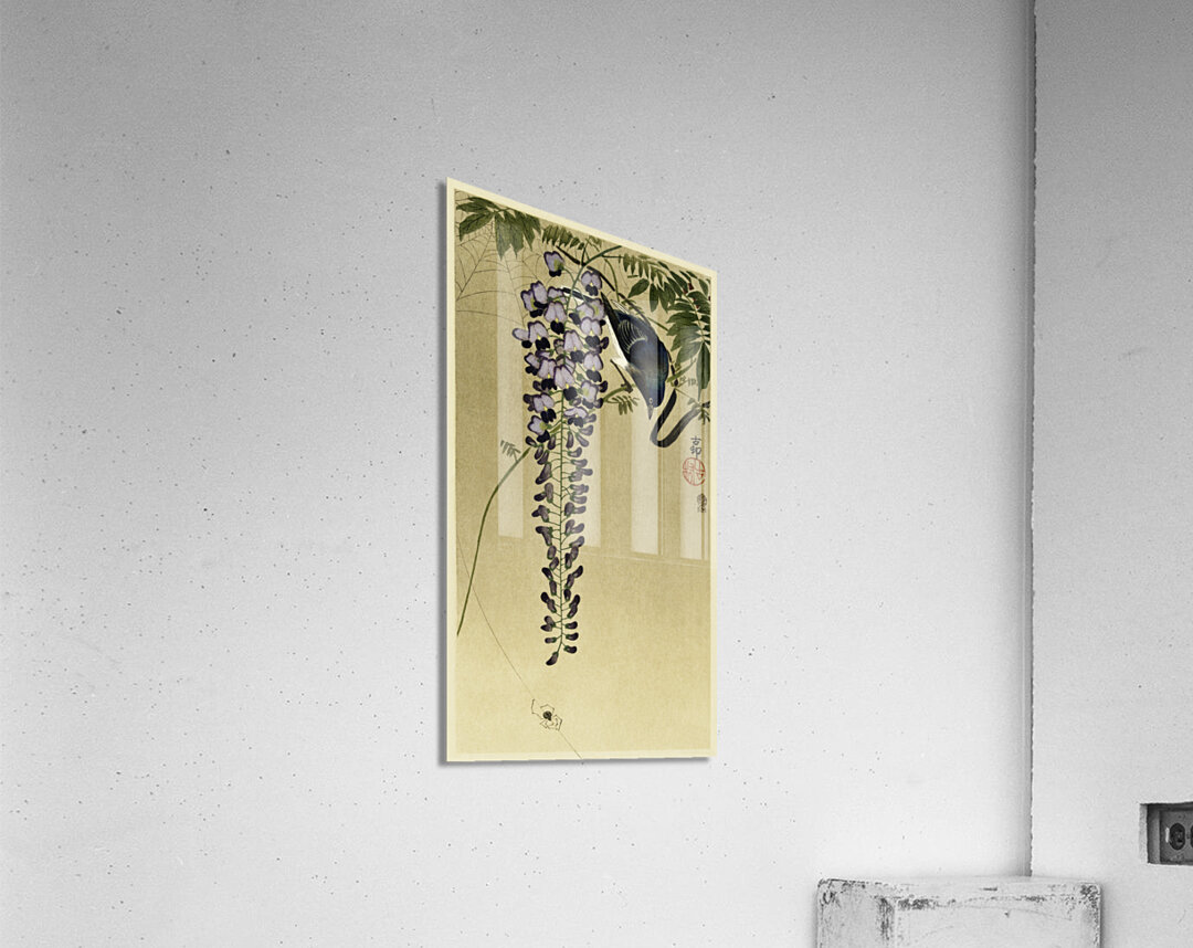 Flycatcher at wisteria 1900 - 1910 by Ohara Koson 1877-1945. Acrylic Print