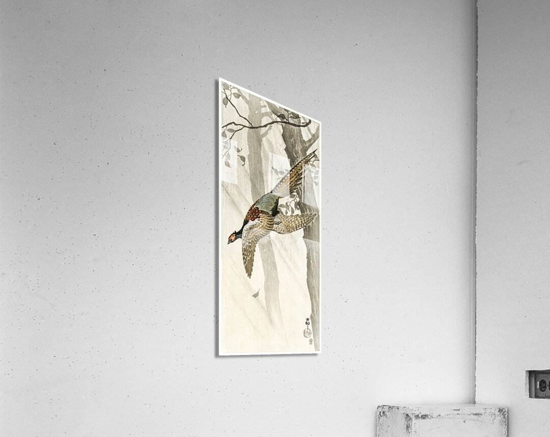 Flying pheasant 1900 - 1910 by Ohara Koson 1877-1945. Acrylic Print