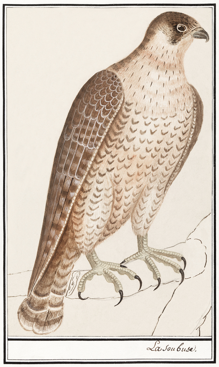 Impression de cadre personnalisé