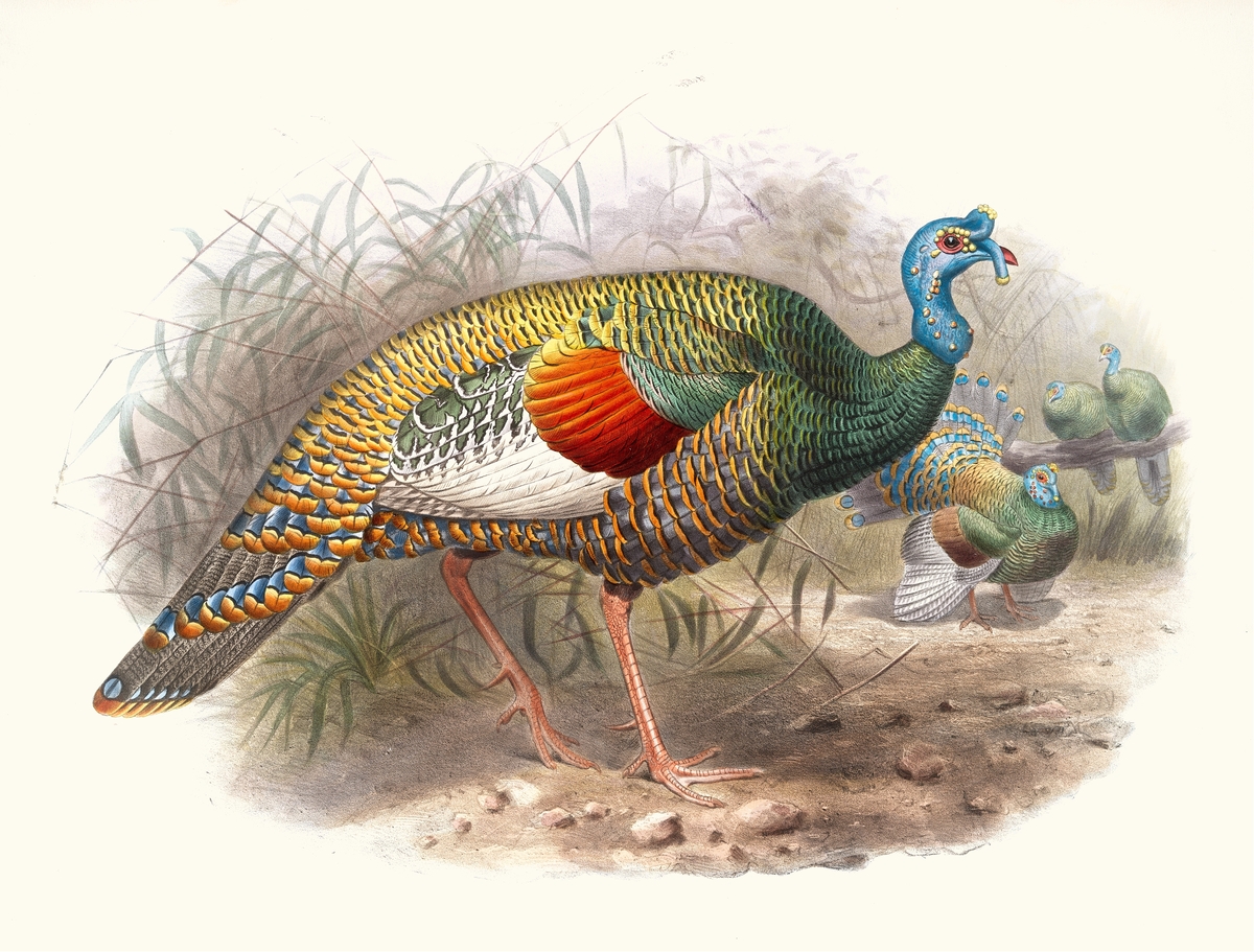 Impression de cadre personnalisé