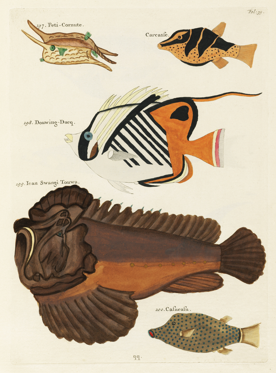 Impression de cadre personnalisé