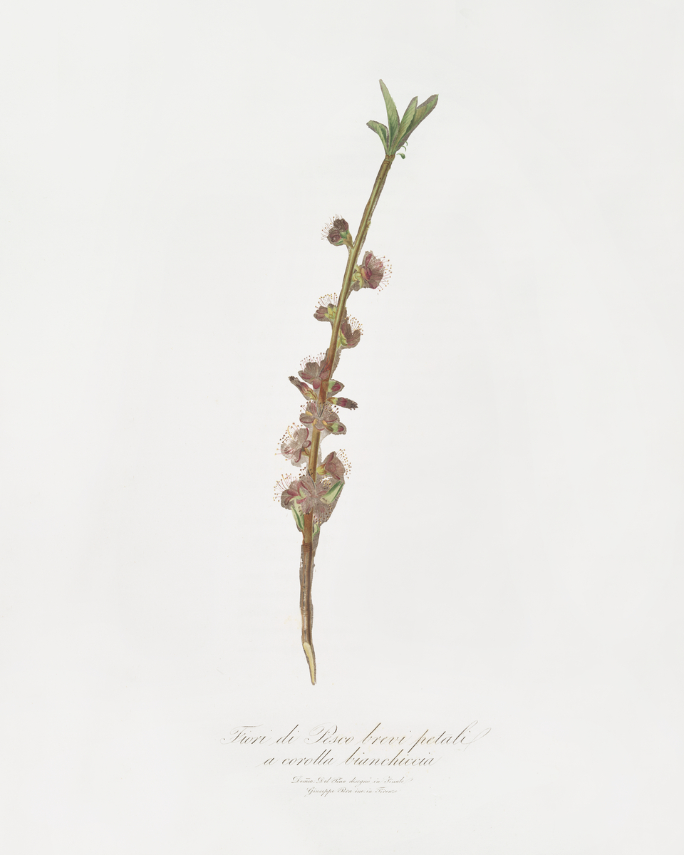 Impression de cadre personnalisé