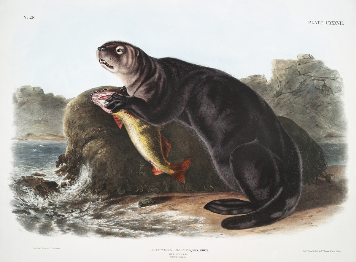 Impression de cadre personnalisé