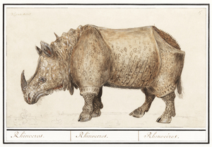 Rhinoceros in vintage style