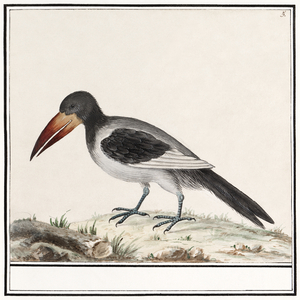 Unknown bird in vintage style