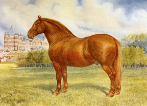 Suffolk Sire Prince Wedgewood Frank Babbage English 1858–1916