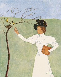 Woman reaching for birds 1894 by Edward Penfield