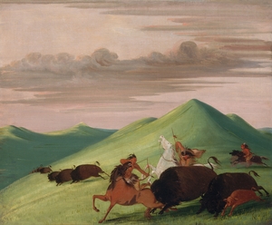 Buffalo Chase Bull Protecting a Cow And Calf 1832-1833