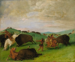 Buffalo Chase Bulls Making Battle With Men And Horses 1832-1833
