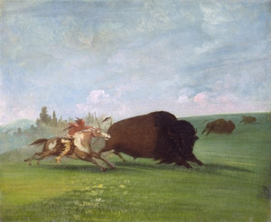 Buffalo Chase a Single Death 1832-1833