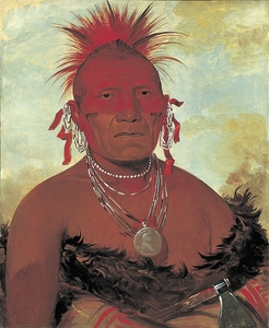 Shón-ka-ki-he-ga Horse Chief Grand Pawnee Head Chief 1832