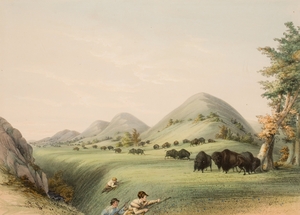 Buffalo Hunt Approaching in a Ravine 1844