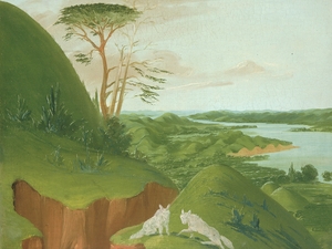River Bluffs With White Wolves In The Foreground Upper Missouri 1832