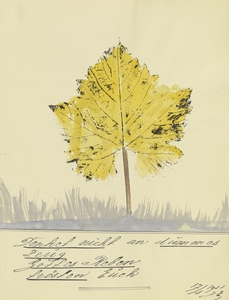 ‘Denket nicht an dummes Zeug …’ 1931  My Pictures Become Wilder and Wilder By John Elsas