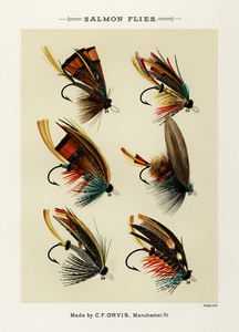 Salmon Flies 