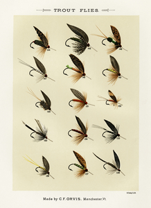 Trout Flies 