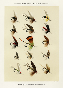 Trout Flies 