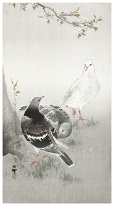 Three pigeons 1900-1930 by Ohara Koson 1877-1945.