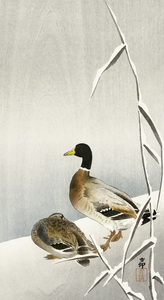 Two ducks on snowy reed 1900 - 1930 by Ohara Koson 1877-1945.