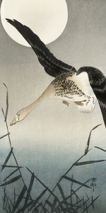 White-fronted goose at full moon 1900 - 1930 by Ohara Koson 1877-1945.