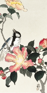 Great tit on branch with pink flowers 1900 - 1930 by Ohara Koson 1877-1945.