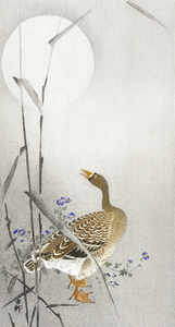 Goose at full moon 1900 - 1936 by Ohara Koson 1877-1945.