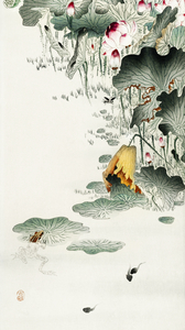 Frog and tadpoles 1900 - 1930 by Ohara Koson 1877-1945.