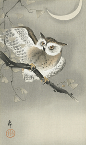 Long-eared owl in ginkgo 1900 - 1930 by Ohara Koson 1877-1945.