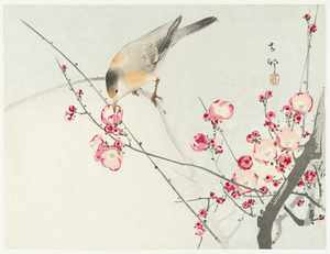 Songbird on blossom branch 1900 - 1936 by Ohara Koson 1877-1945.