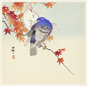 Two pigeons on autumn branch 1900 - 1936 by Ohara Koson 1877-1945.