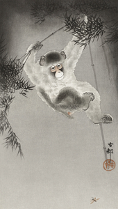 Monkey hanging from bamboo branch 1900 - 1930 by Ohara Koson 1877-1945.