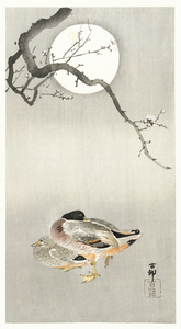 Ducks at full moon 1900 - 1945 by Ohara Koson 1877-1945.